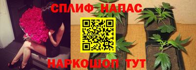 скорость Гусь-Хрустальный