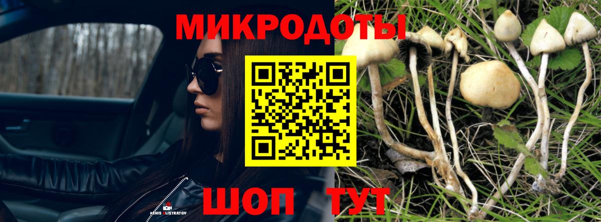 Галлюциногенные грибы MAGIC MUSHROOMS Ноябрьск